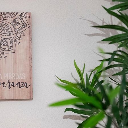 La Casina De Leo Y Mia - Centro De Gijon 6P - Wifi - Vut-3398-As公寓 外观 照片