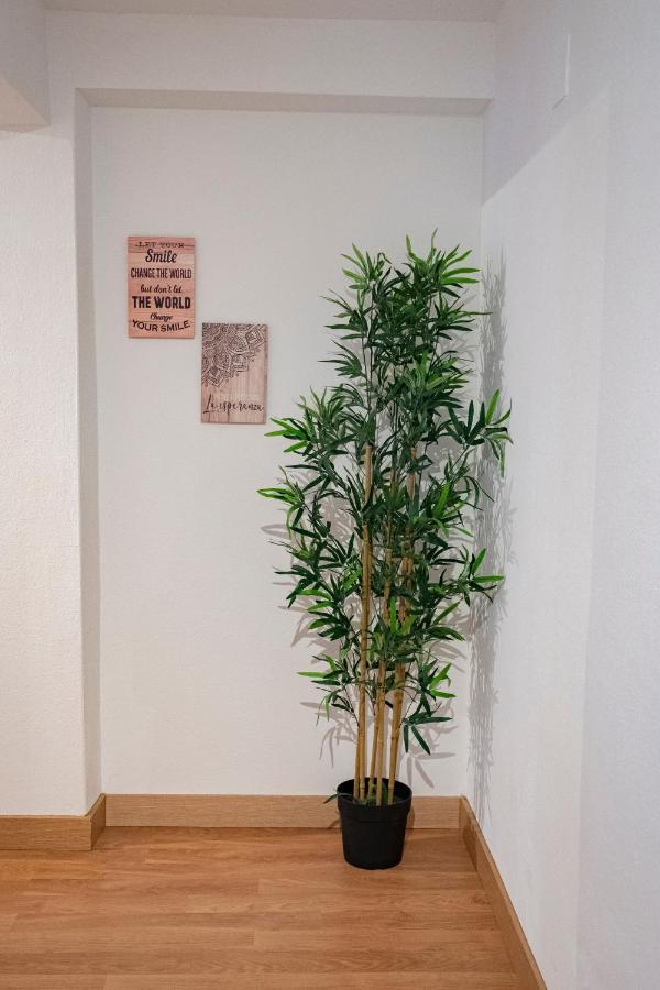 La Casina De Leo Y Mia - Centro De Gijon 6P - Wifi - Vut-3398-As公寓 外观 照片